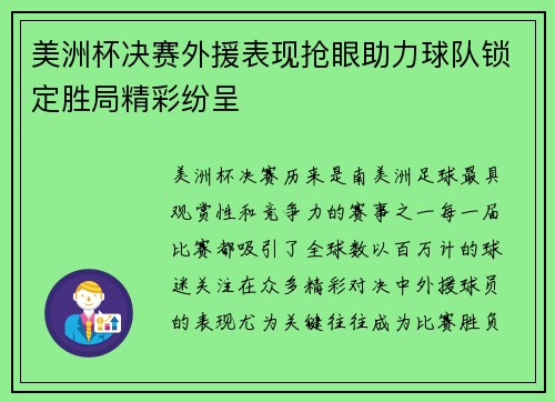 美洲杯决赛外援表现抢眼助力球队锁定胜局精彩纷呈