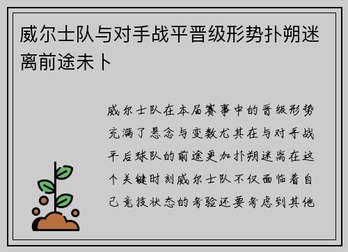 威尔士队与对手战平晋级形势扑朔迷离前途未卜