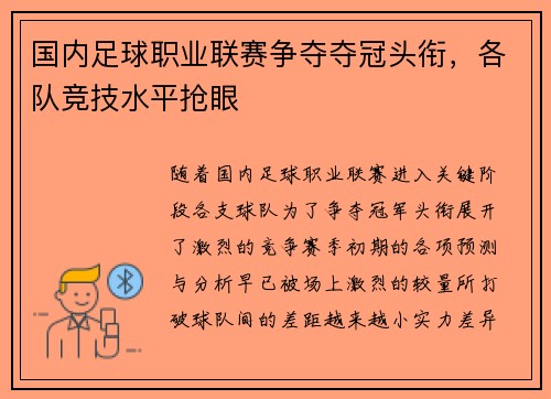 国内足球职业联赛争夺夺冠头衔，各队竞技水平抢眼