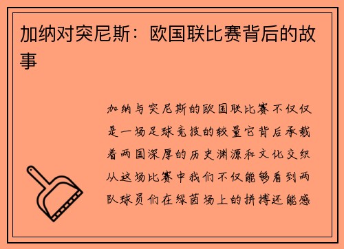 加纳对突尼斯：欧国联比赛背后的故事